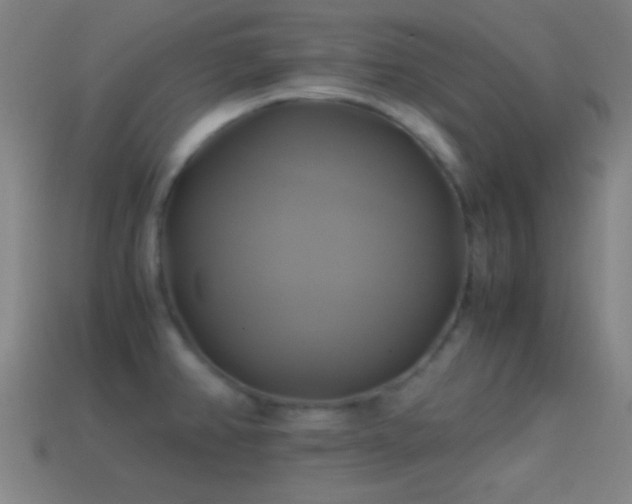 X0000114701382200910211243