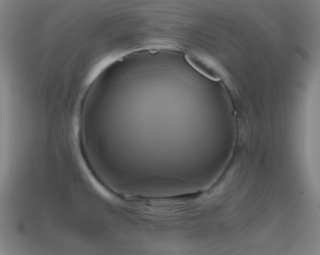 X0000114701383200910211243