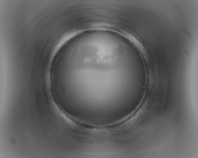 X0000114701384200910211243