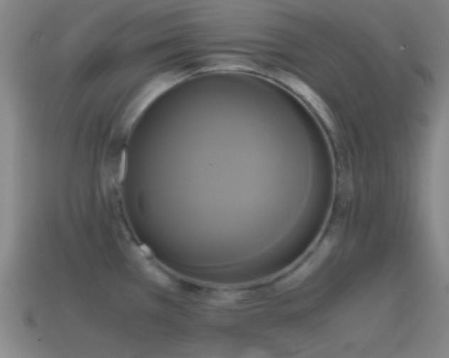 X0000114701385200910211243