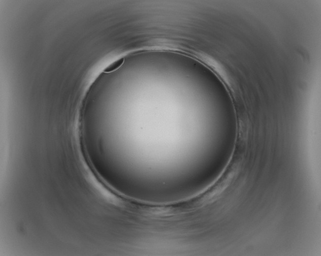 X0000114701387200910211243