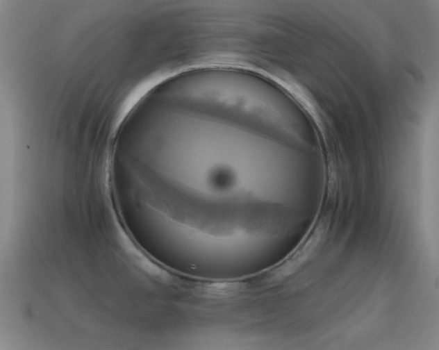 X0000114701390200910211243