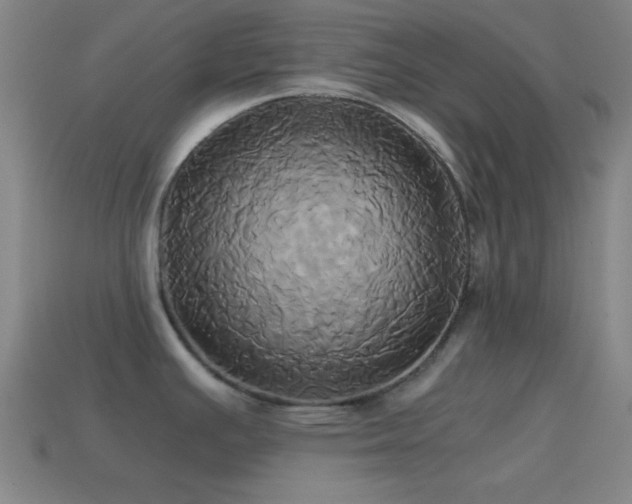 X0000114701391200910211243