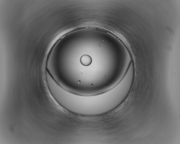 X0000114701392200910211243