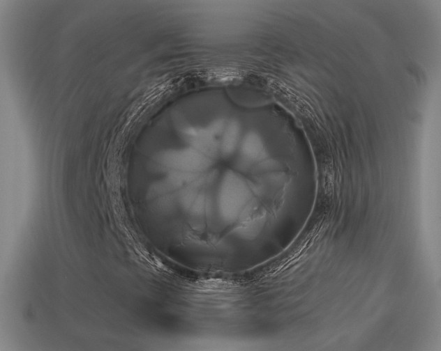 X0000114701393200910211242