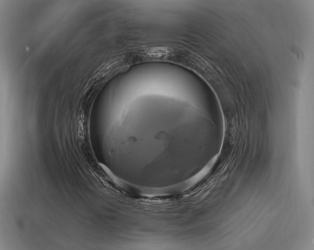 X0000114701394200910211242