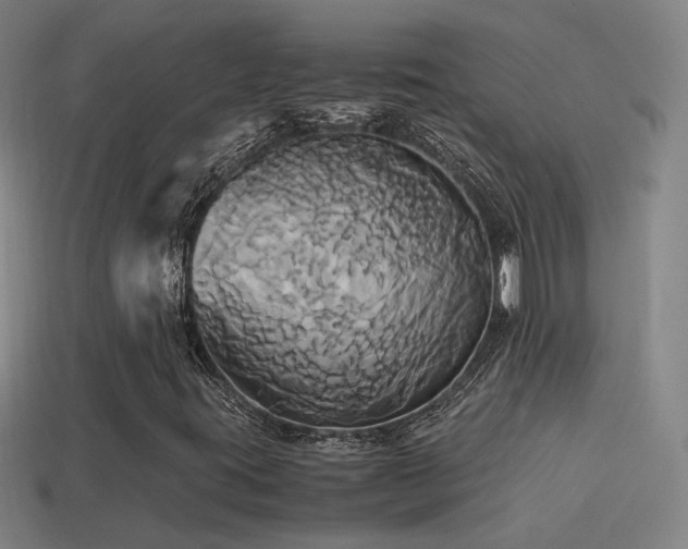 X0000114701395200910211242