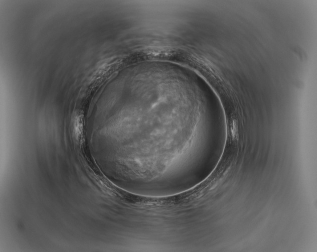 X0000114701396200910211242