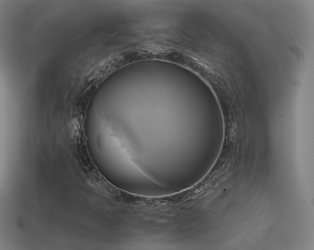 X0000114701397200910211243