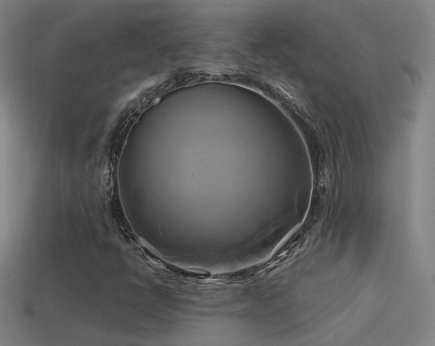 X0000114701398200910211243