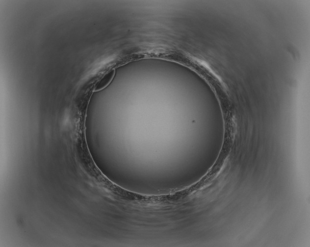 X0000114701399200910211243