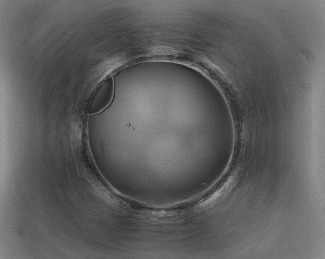 X0000114701401200910211243