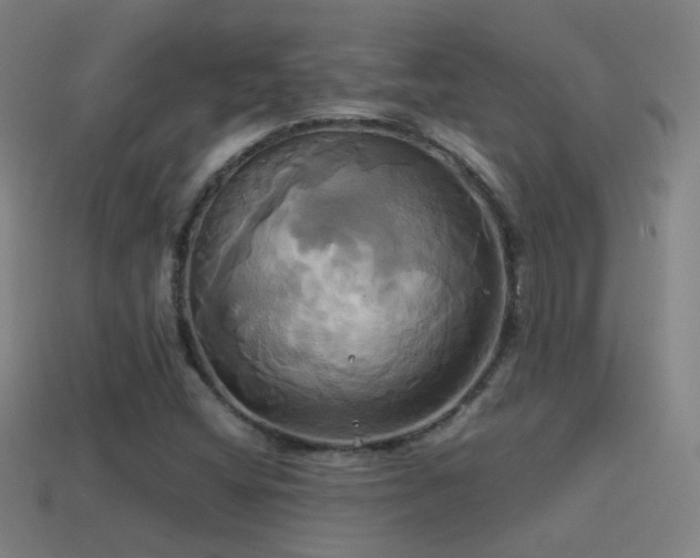 X0000114701404200910211243