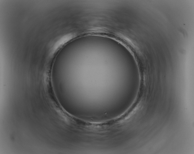 X0000114701405200910211243