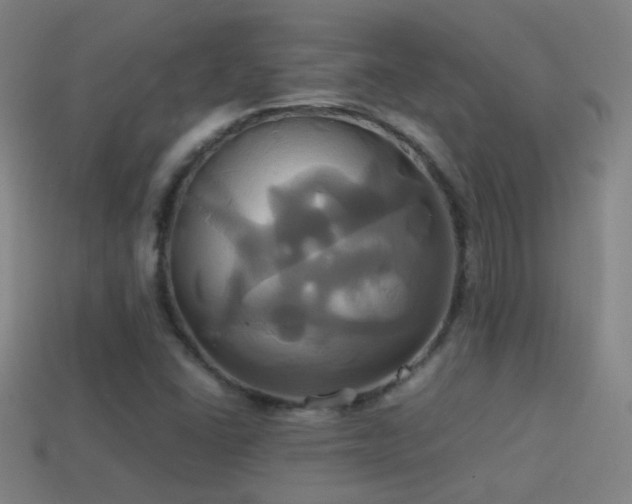 X0000114701406200910211243