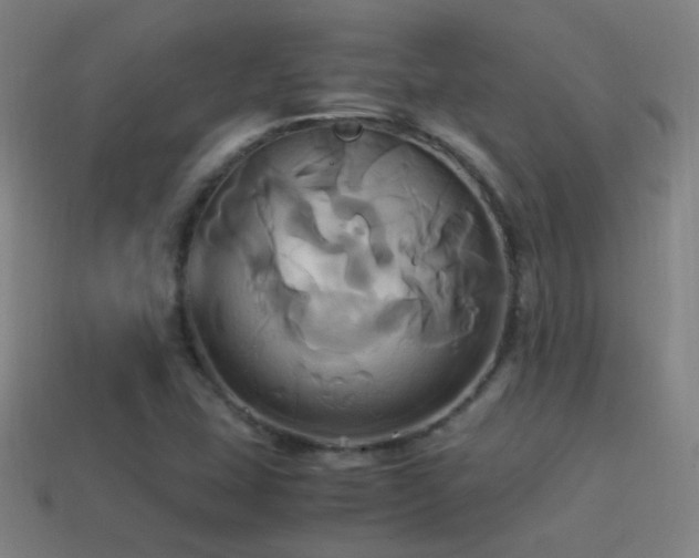 X0000114701407200910211243