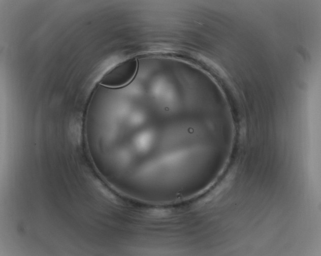 X0000114701409200910211243