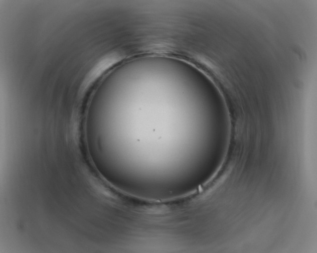 X0000114701410200910211243