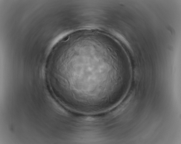 X0000114701412200910211243