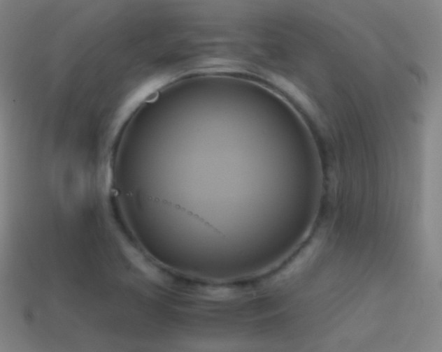 X0000114701413200910211243