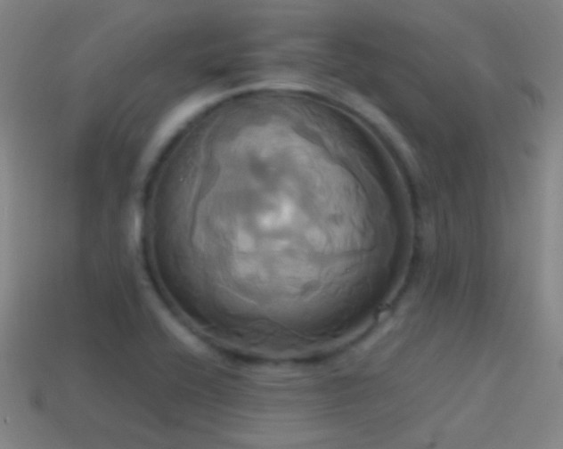 X0000114701416200910211243