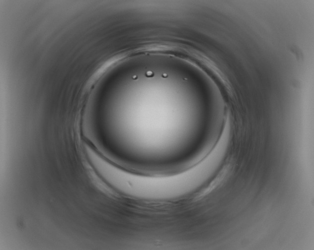 X0000114701417200910211243