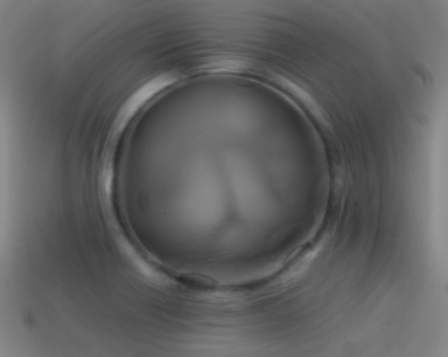 X0000114701418200910211243