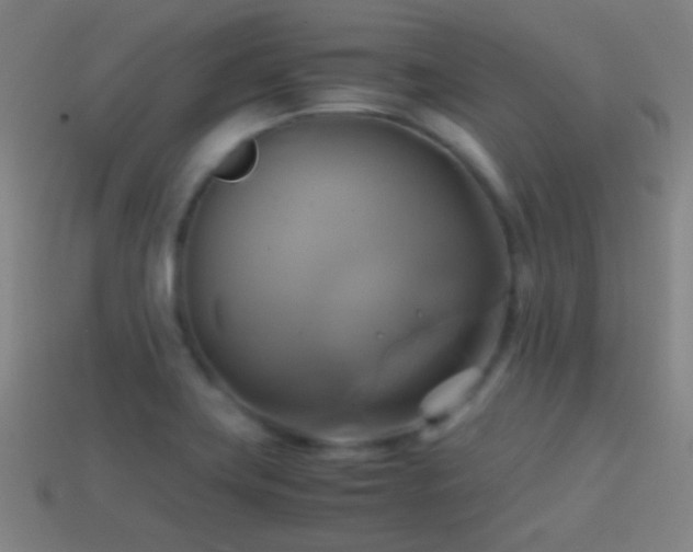 X0000114701419200910211243