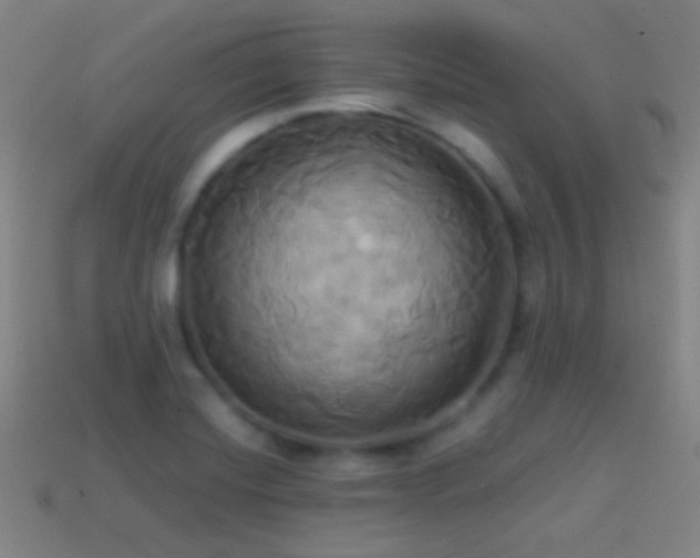 X0000114701420200910211243