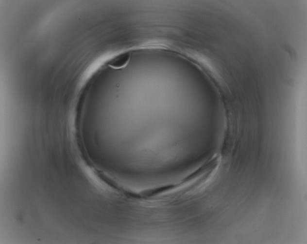 X0000114701422200910211243