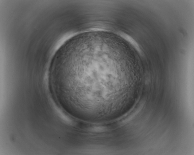 X0000114701423200910211243