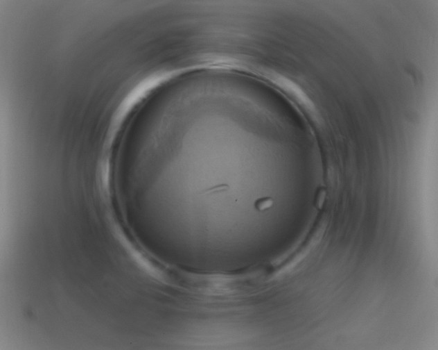 X0000114701424200910211243