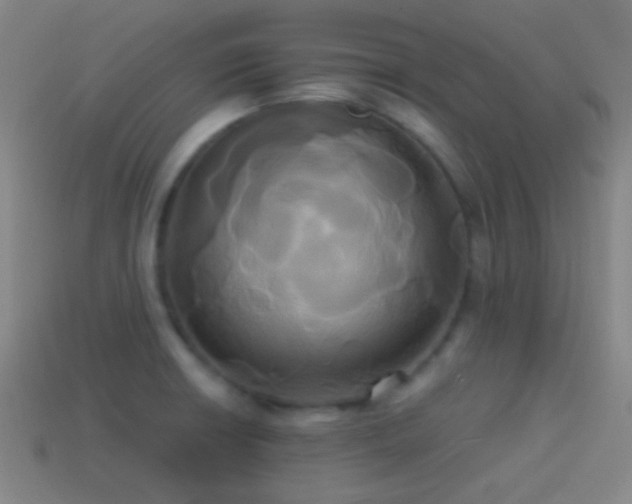 X0000114701426200910211243