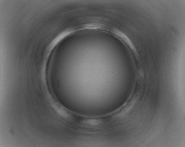 X0000114701427200910211243