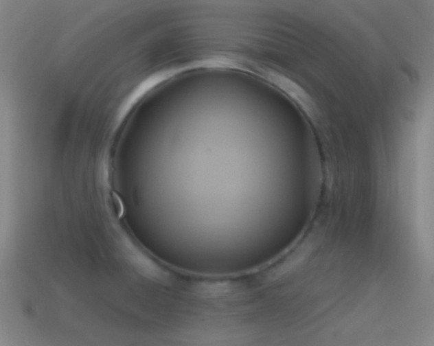 X0000114701428200910211243