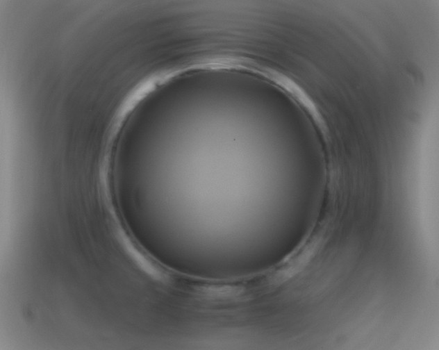 X0000114701429200910211243