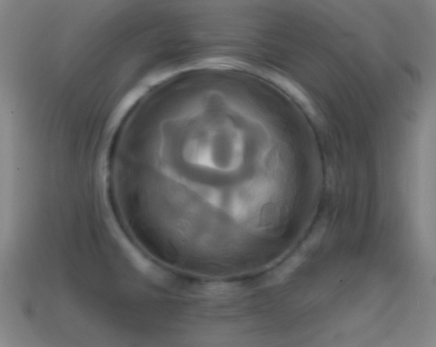 X0000114701430200910211243