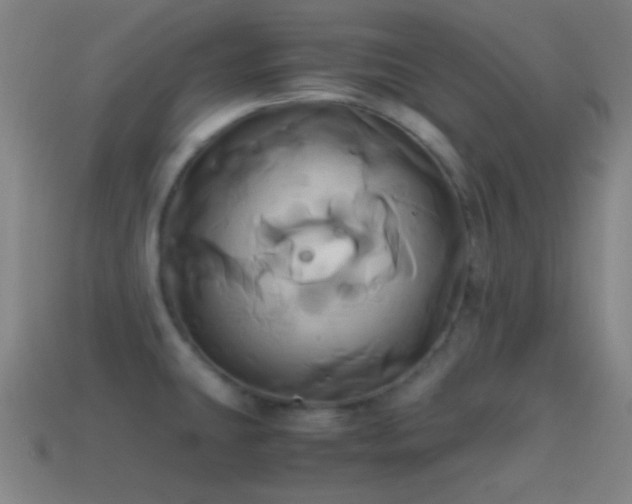 X0000114701431200910211243