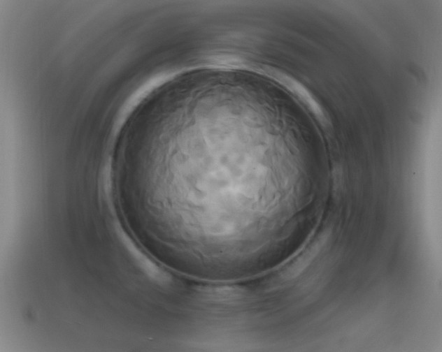 X0000114701432200910211243