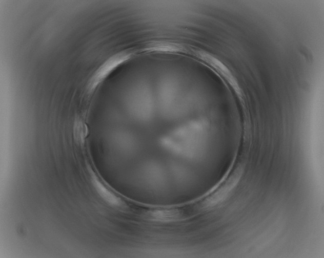 X0000114701433200910211243