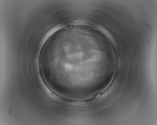 X0000114701434200910211243