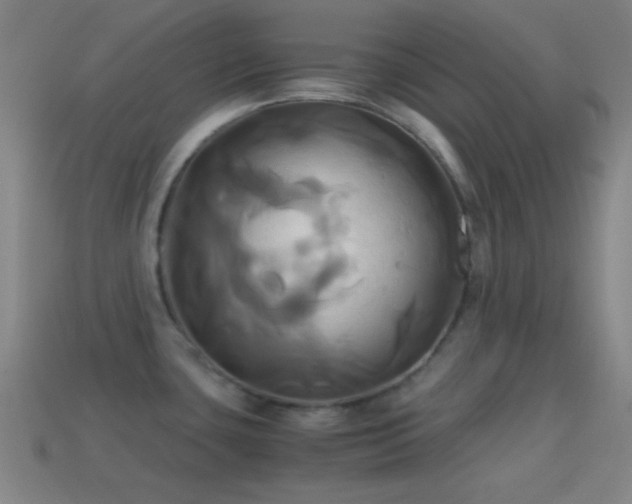 X0000114701435200910211243