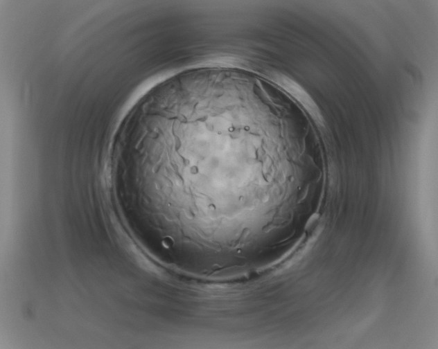 X0000114701436200910211243