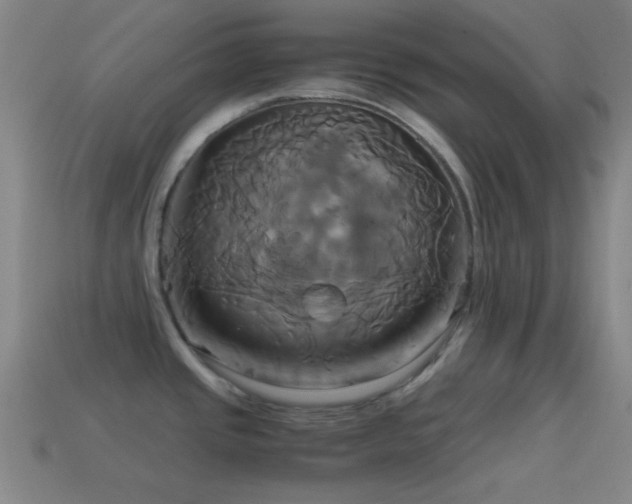 X0000114701437200910211243