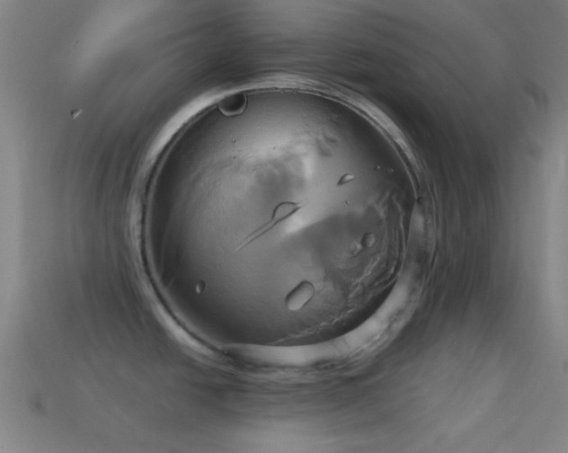 X0000114701438200910211243