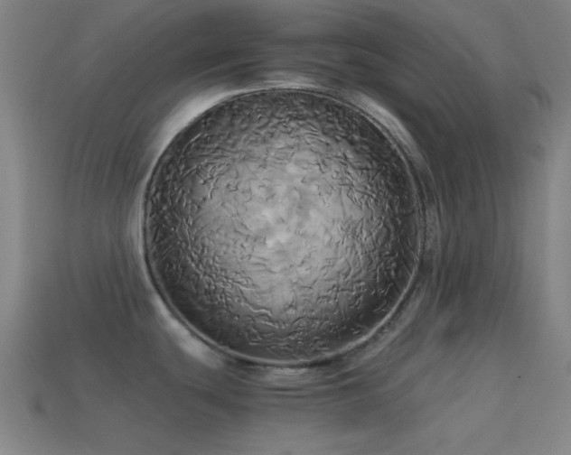 X0000114701439200910211243