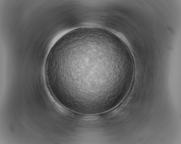 X0000114701440200910211243