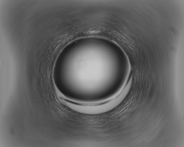 X0000114701441200910211242