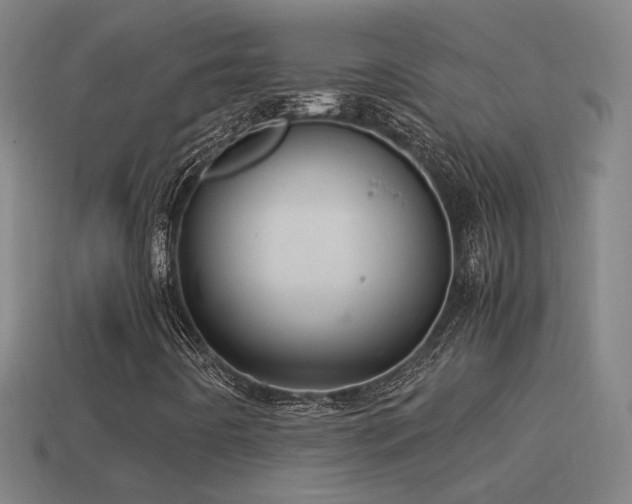 X0000114701442200910211242