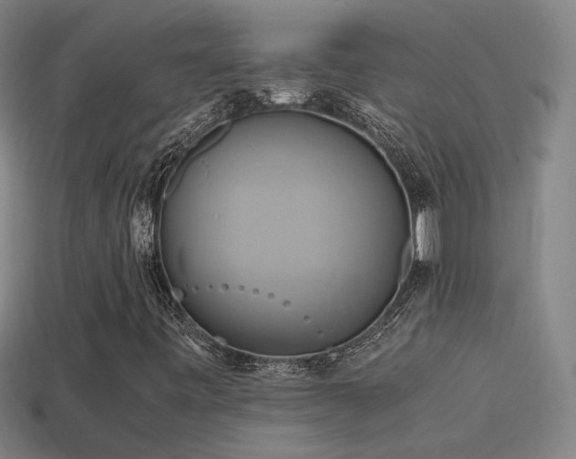 X0000114701443200910211242